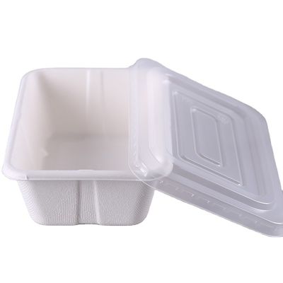 contenitori di alimento Microwavable biodegradabili della bagassa 500ml con il chiaro coperchio