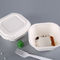 Contenitori di alimento impermeabili al grasso biodegradabili della polpa della bagassa