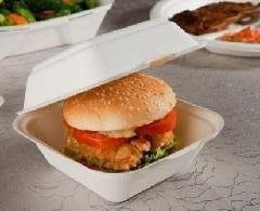 Contenitore biodegradabile di hamburger della carta di polpa della canna da zucchero con il coperchio collegato
