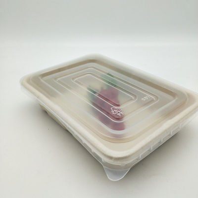 Vassoi Microwavable biodegradabili eliminabili dell'alimento della canna da zucchero