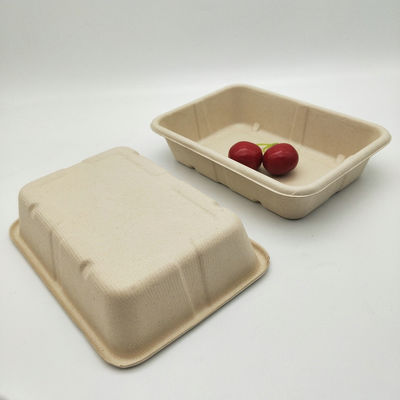 Vassoi Microwavable biodegradabili eliminabili dell'alimento della canna da zucchero