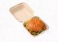 Contenitore biodegradabile di hamburger della carta di polpa della canna da zucchero con il coperchio collegato